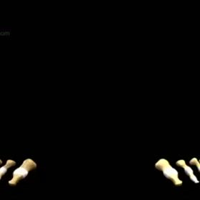 骨と腱の画像