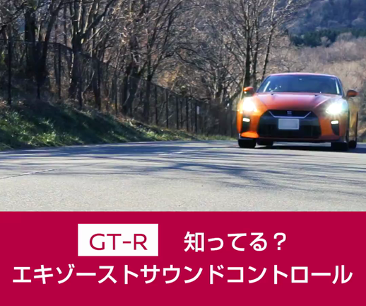 R35GT-R blog 純正チタン可変バルブマフラー流用 ʕ•ᴥ•ʔ | R35GT-R blog