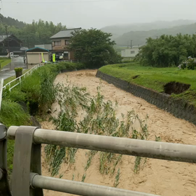 雨雨降れ降れ♪とは歌えない(-_-;)の画像