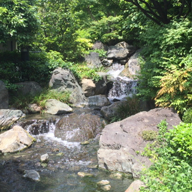 渓にの画像