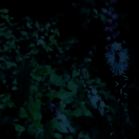 久しぶりの高尾山の画像
