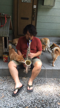 新たな楽器 Conn６Mの記事動画
