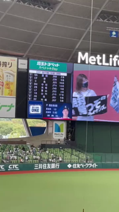 OBとOBとOBとの記事動画