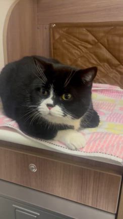 疑うというのは言い方を変えると精査、熟考することかな、と思います。の記事動画