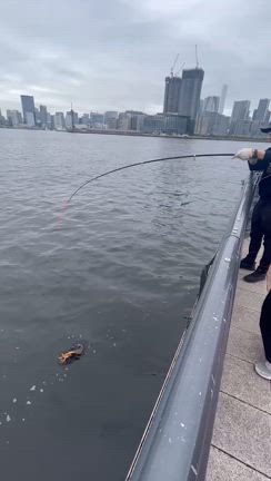 豊洲ぐるり公園で釣り♪の記事動画