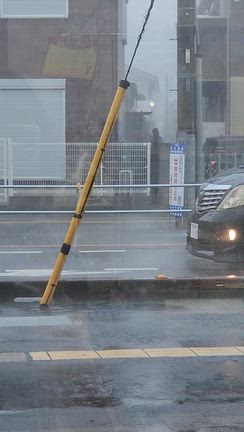 内覧会の記事動画