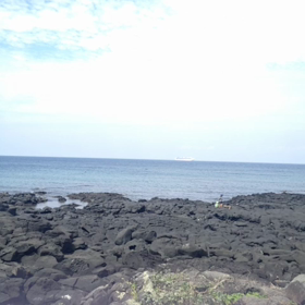 sea videoの画像