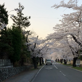2018/04/02の画像