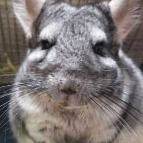 寝ぼけてた？の画像