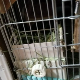 態度の違いの画像