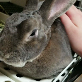 やってしまった(； ・`д・´)の画像