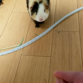 あつい…の画像