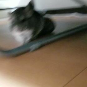 ふらつきの画像