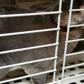 ふみふみの画像