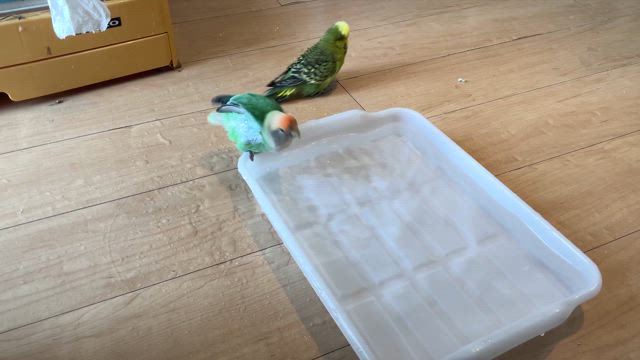 京急線に乗って横須賀への記事動画