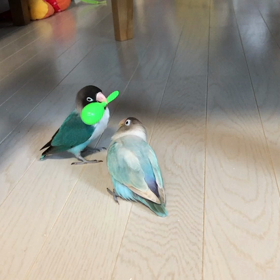 お宅訪問 午前の部のサムネイル画像