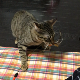 回してますの画像