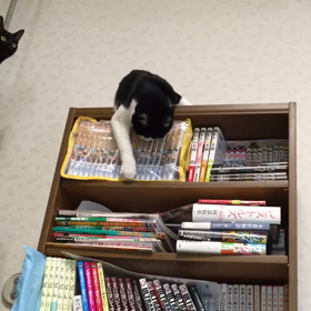 夢中になりすぎ注意の画像