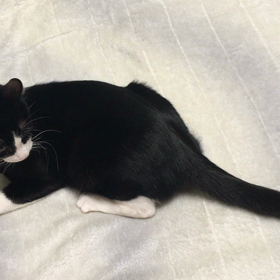 くるくる…の画像