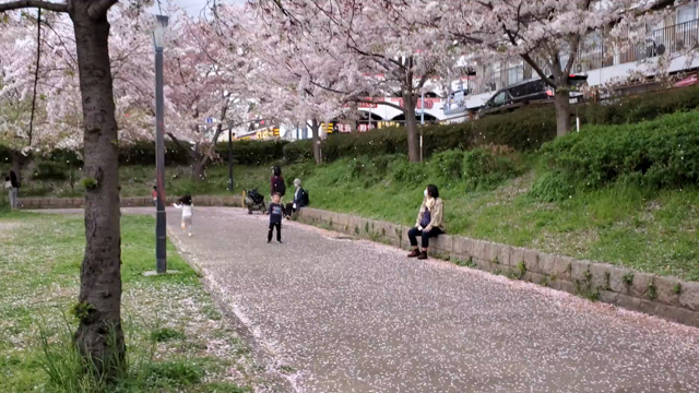 “ 大阪住みたい ” って！の記事動画