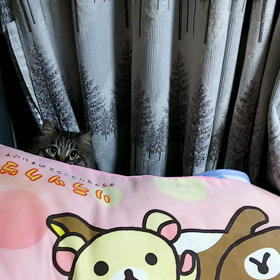遊んでたら・・・の画像