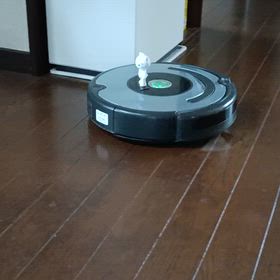 ルンバの日の画像