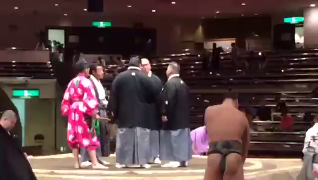 九月場所 二日目✨  おっとっとの記事動画