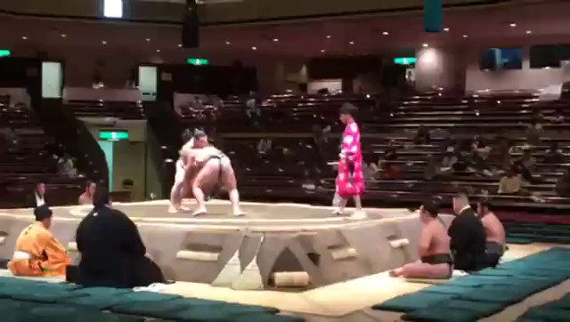 九月場所 二日目✨  おっとっとの記事動画