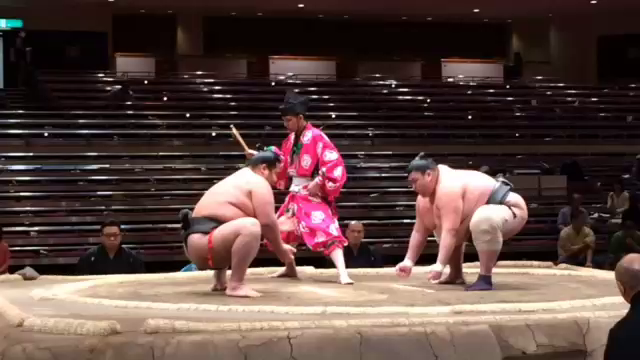 そろそろ 折り返し 本日七日目の記事動画