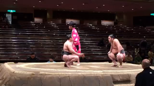 そろそろ 折り返し 本日七日目の記事動画