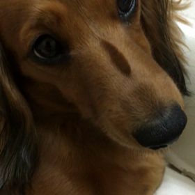 週末なにしてた？の画像