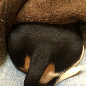 今日は節分の日の画像