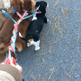 今日はたばこの日の画像