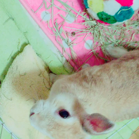 じーっの画像