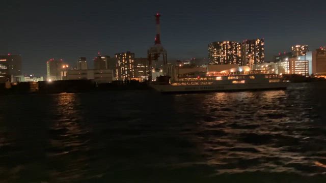 お楽しみいっぱい★東京湾夜景クルーズの記事動画