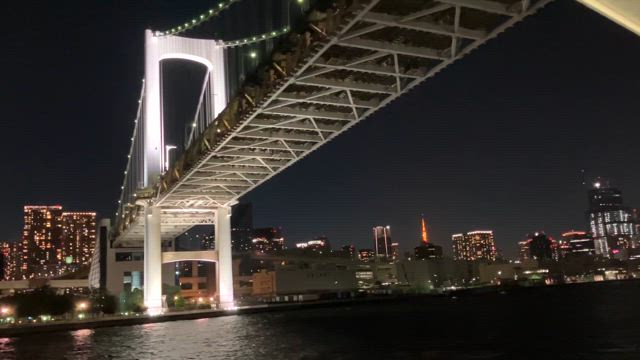 お楽しみいっぱい★東京湾夜景クルーズの記事動画