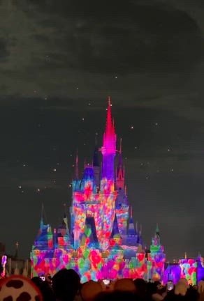 TDL☆Reach for the Starsの記事動画