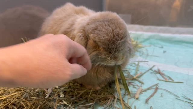 入院備忘録④の記事動画