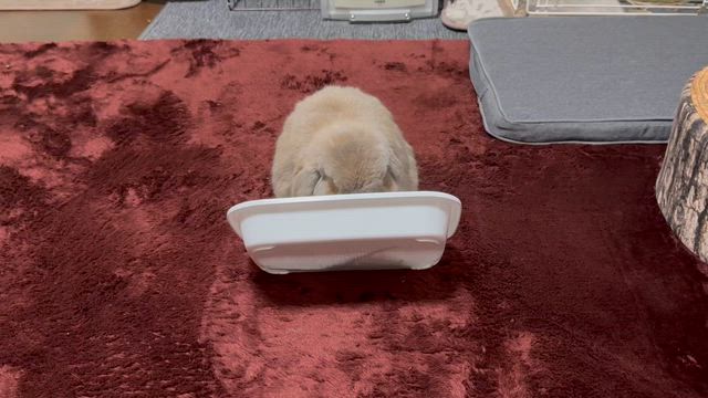 少なくなったら、こうするですよ〜。の記事動画