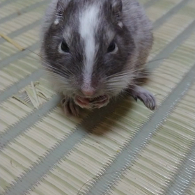 強奪の画像