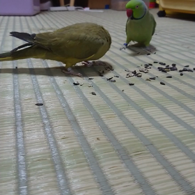 なにも ないのにの画像
