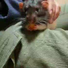 口元がの画像
