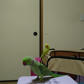 距離をとるの画像