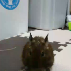 一心不乱にの画像