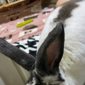 2021/07/11の画像