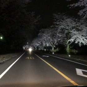 お花見のおすそ分けの画像