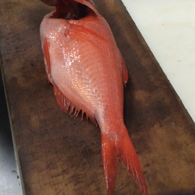 キンメ鯛の三枚下ろし!の画像