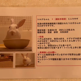 ご縁の画像