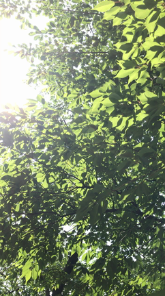 旅してと〜ないの記事動画