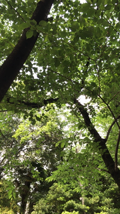 旅してと〜ないの記事動画